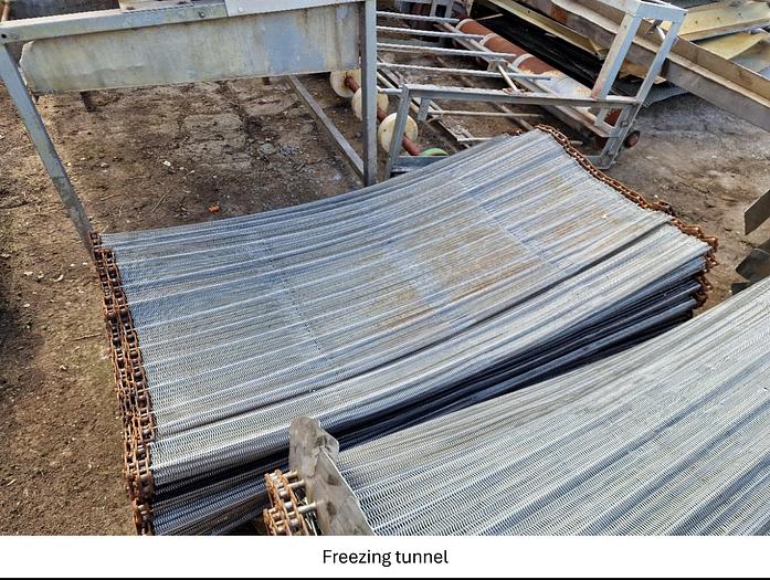 Used Linia do produkcji frytek o wydajności do 5 t/h surowca