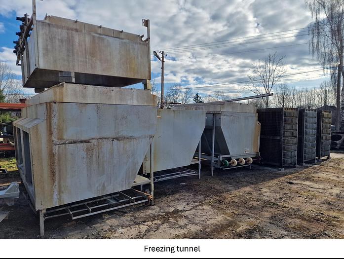 Used Linia do produkcji frytek o wydajności do 5 t/h surowca