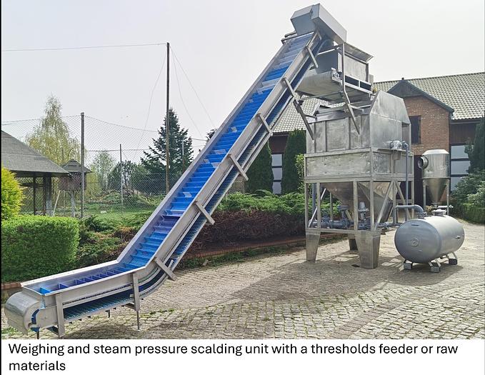 Used Linia do produkcji frytek o wydajności do 5 t/h surowca