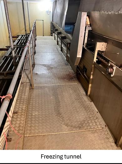 Used Linia do produkcji frytek o wydajności do 5 t/h surowca