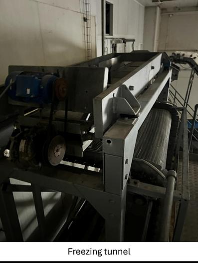 Used Linia do produkcji frytek o wydajności do 5 t/h surowca