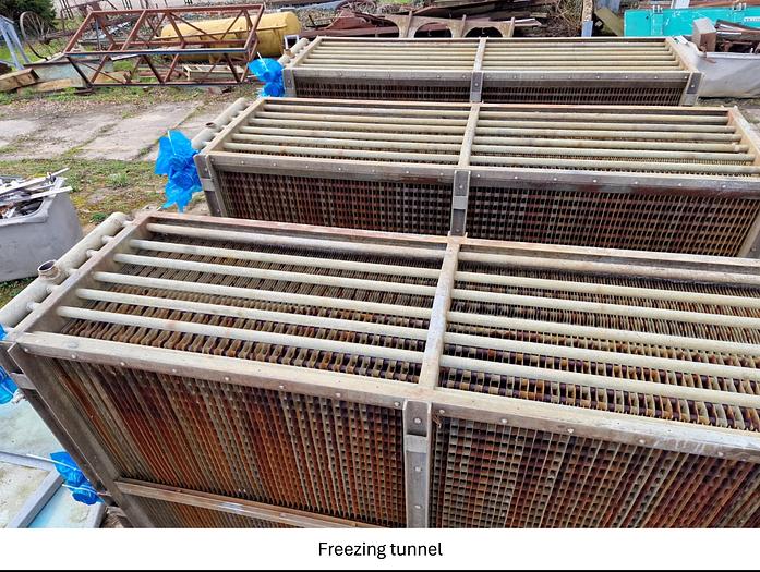 Used Linia do produkcji frytek o wydajności do 5 t/h surowca