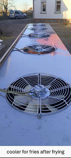 Used Linia do produkcji frytek o wydajności do 5 t/h surowca