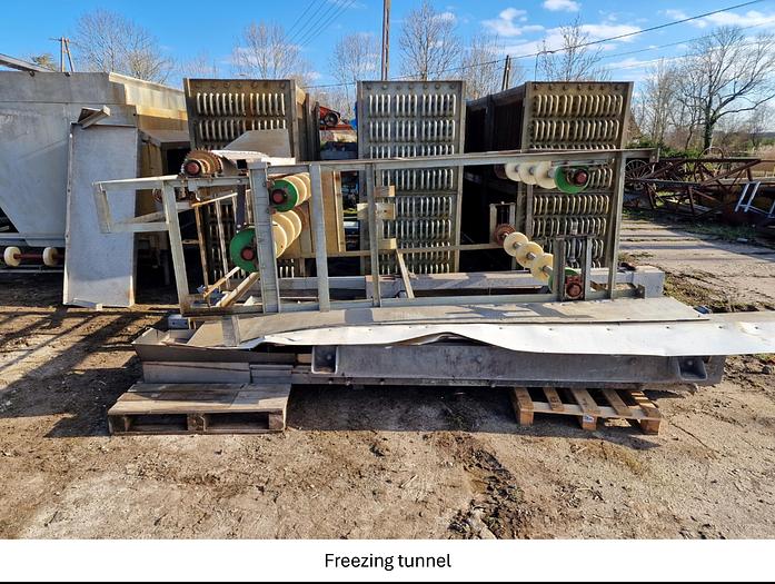 Used Linia do produkcji frytek o wydajności do 5 t/h surowca