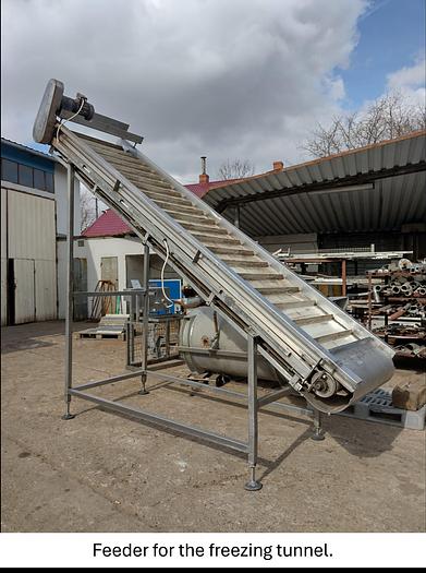 Used Linia do produkcji frytek o wydajności do 5 t/h surowca