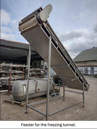 Used Linia do produkcji frytek o wydajności do 5 t/h surowca