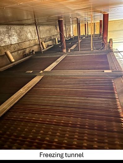 Used Linia do produkcji frytek o wydajności do 5 t/h surowca