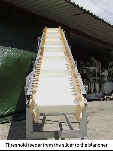 Used Linia do produkcji frytek o wydajności do 5 t/h surowca