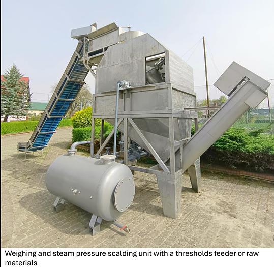 Used Linia do produkcji frytek o wydajności do 5 t/h surowca