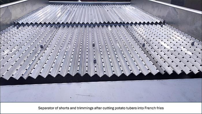 Used Linia do produkcji frytek o wydajności do 5 t/h surowca