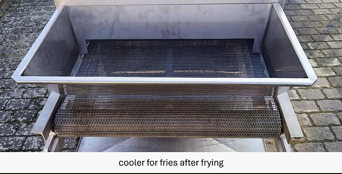 Used Linia do produkcji frytek o wydajności do 5 t/h surowca