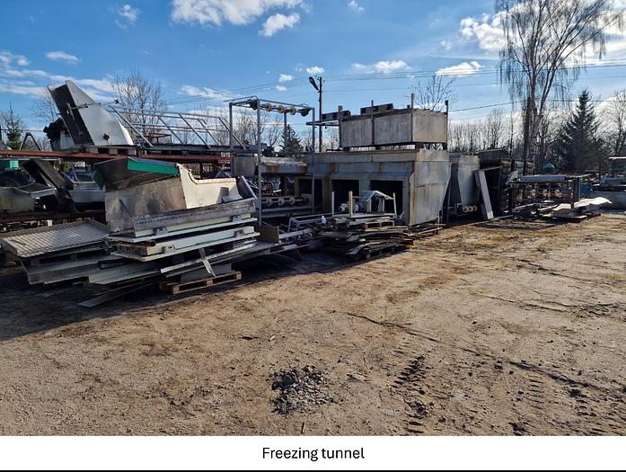 Used Linia do produkcji frytek o wydajności do 5 t/h surowca