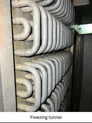 Used Linia do produkcji frytek o wydajności do 5 t/h surowca