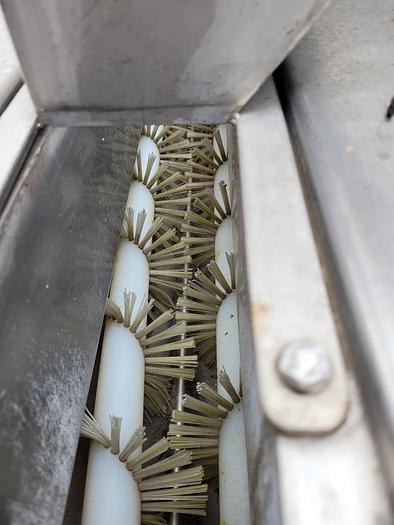 Used Polerka szczotkowa do warzyw i owoców mrożonych - nierdzewna