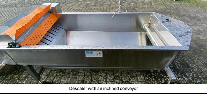 Used Linia do produkcji frytek o wydajności do 5 t/h surowca