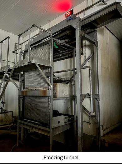 Used Linia do produkcji frytek o wydajności do 5 t/h surowca