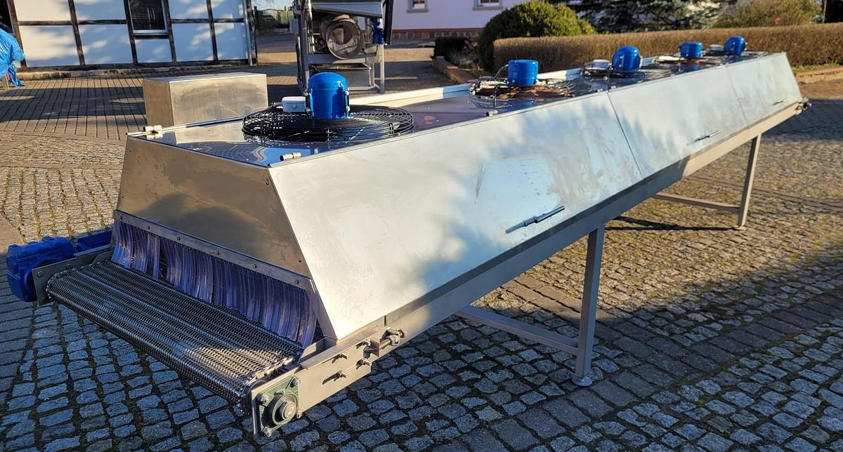 Used Linia do frytek – wydajność 2 t/h
