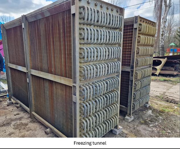 Used Linia do produkcji frytek o wydajności do 5 t/h surowca