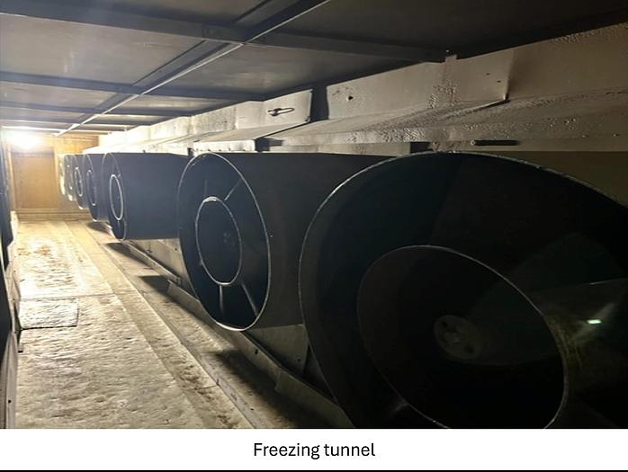 Used Linia do produkcji frytek o wydajności do 5 t/h surowca