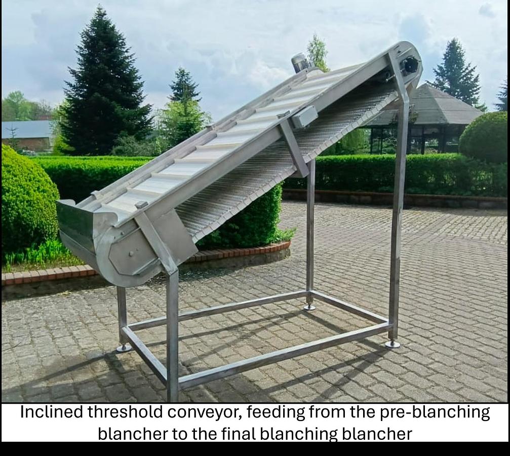 Used Linia do produkcji frytek o wydajności do 5 t/h surowca