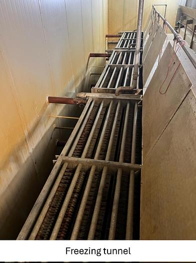 Used Linia do produkcji frytek o wydajności do 5 t/h surowca