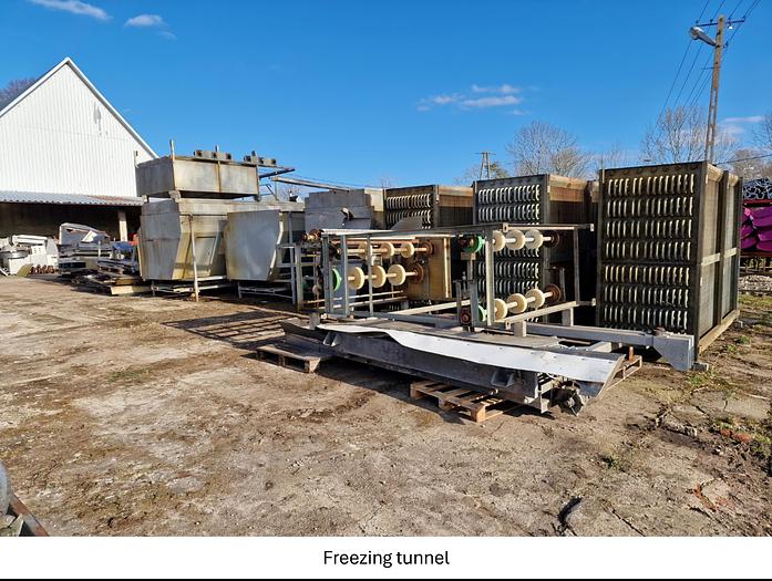 Used Linia do produkcji frytek o wydajności do 5 t/h surowca