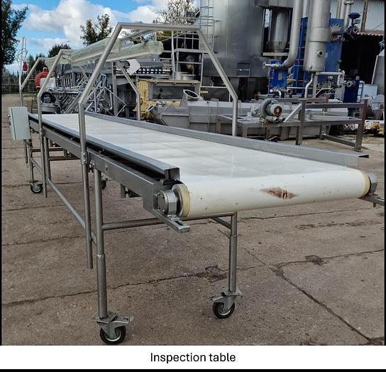 Used Linia do produkcji frytek o wydajności do 5 t/h surowca