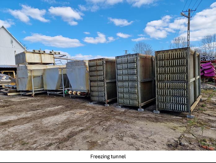 Used Linia do produkcji frytek o wydajności do 5 t/h surowca