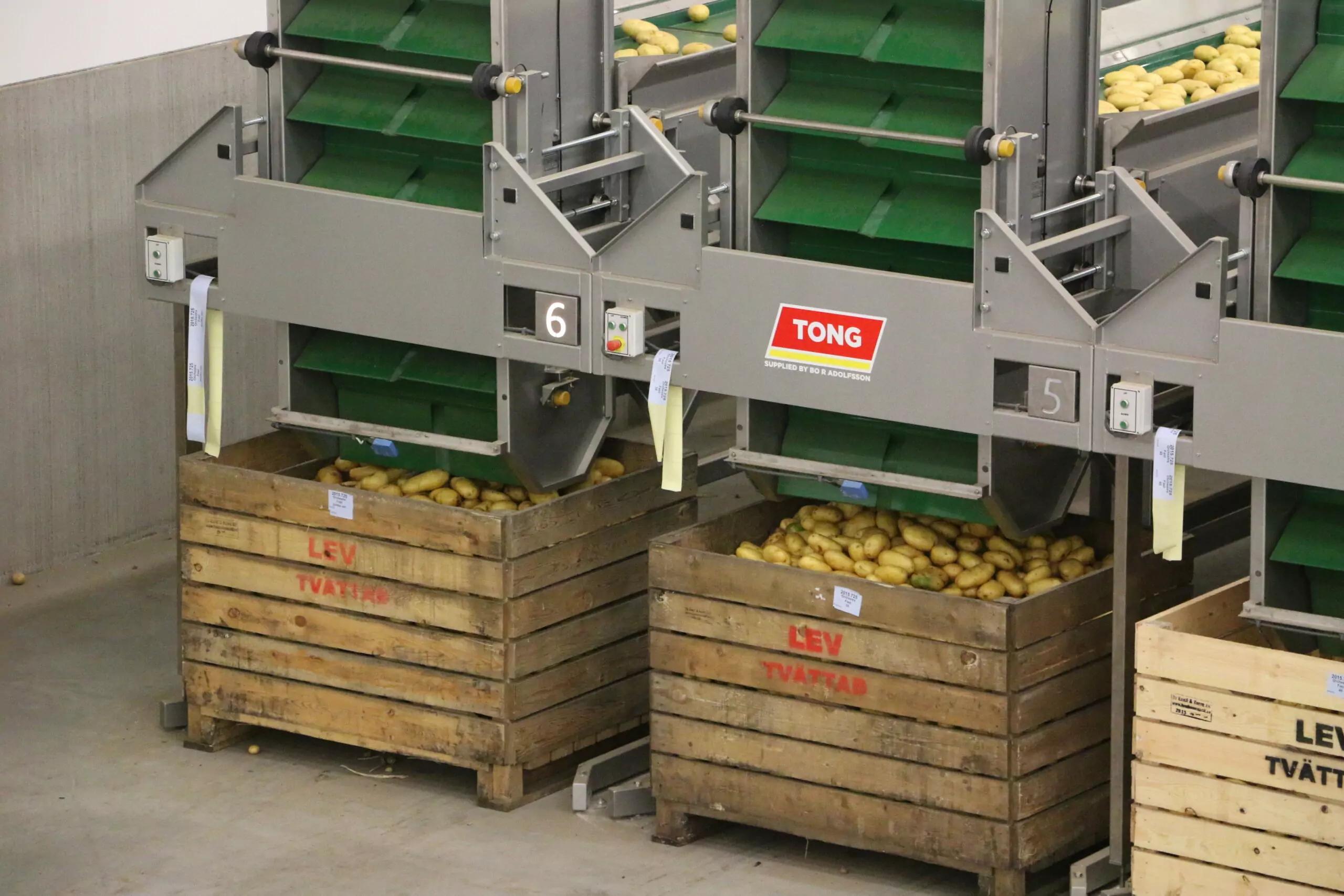 Vertical Bin Fillers