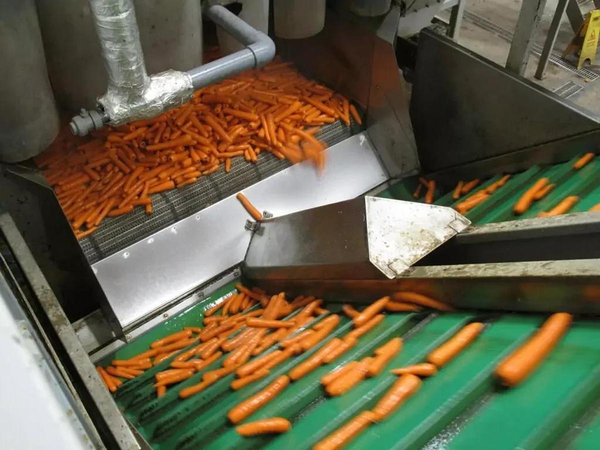 Vegetable Hydrocoolers