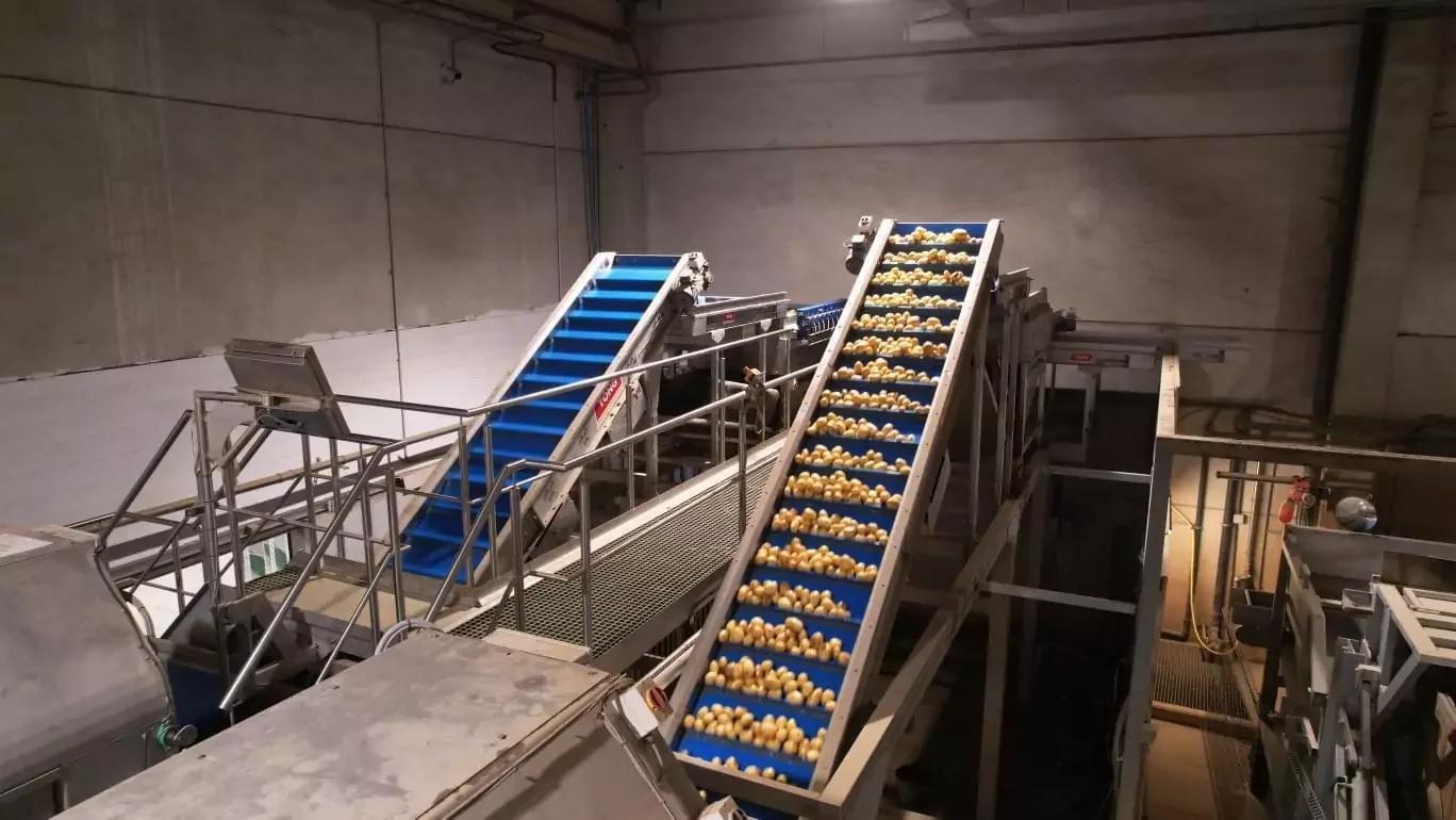TPS-PRO Vegetable Polisher
