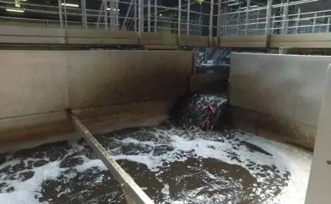 Vegetable Pre-Soak Tank
