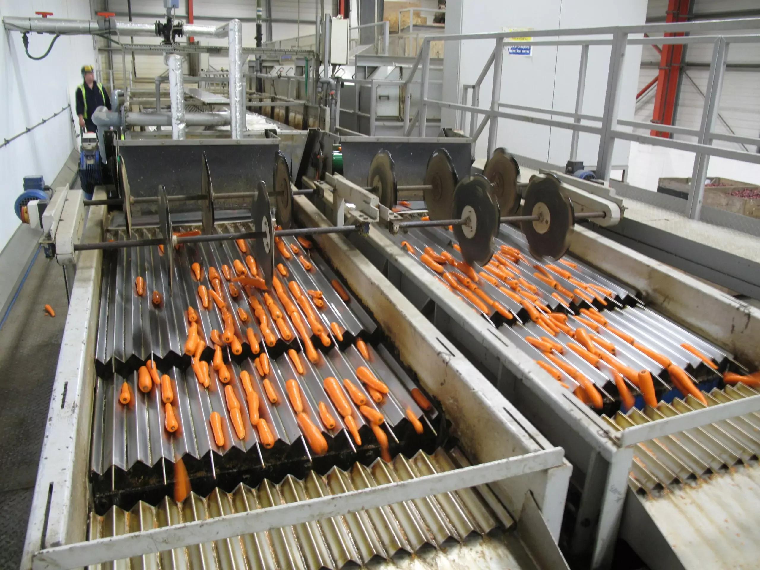 Vibrating Length Sizer