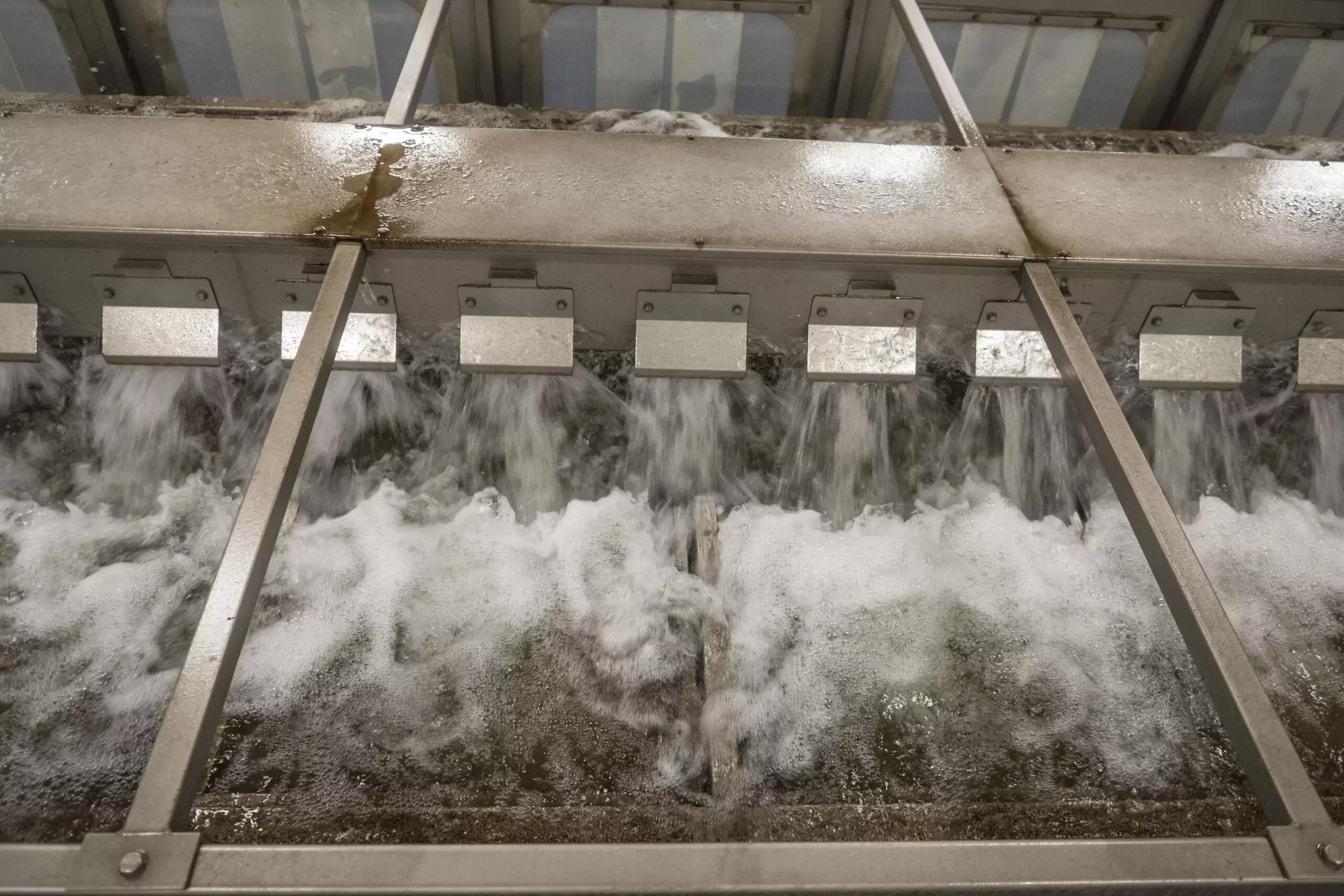 Vegetable Hydrocoolers