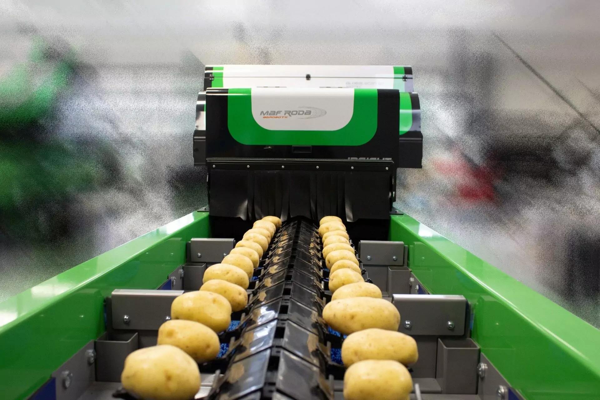 MAF RODA Potato and Onion Optical Sorting