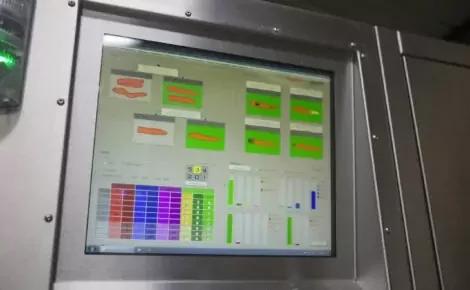 Visar Potato & Carrot Optical Sorting