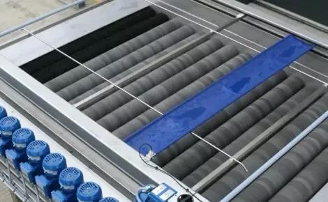 Vegetable Dryers