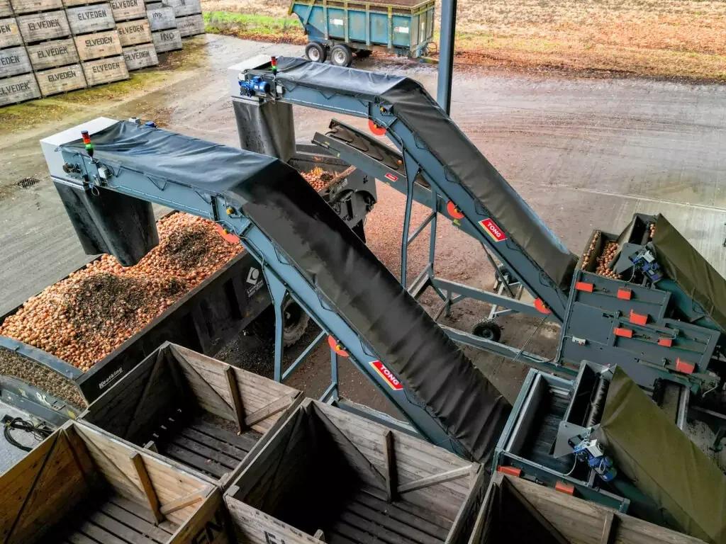 Vegetable Pilers