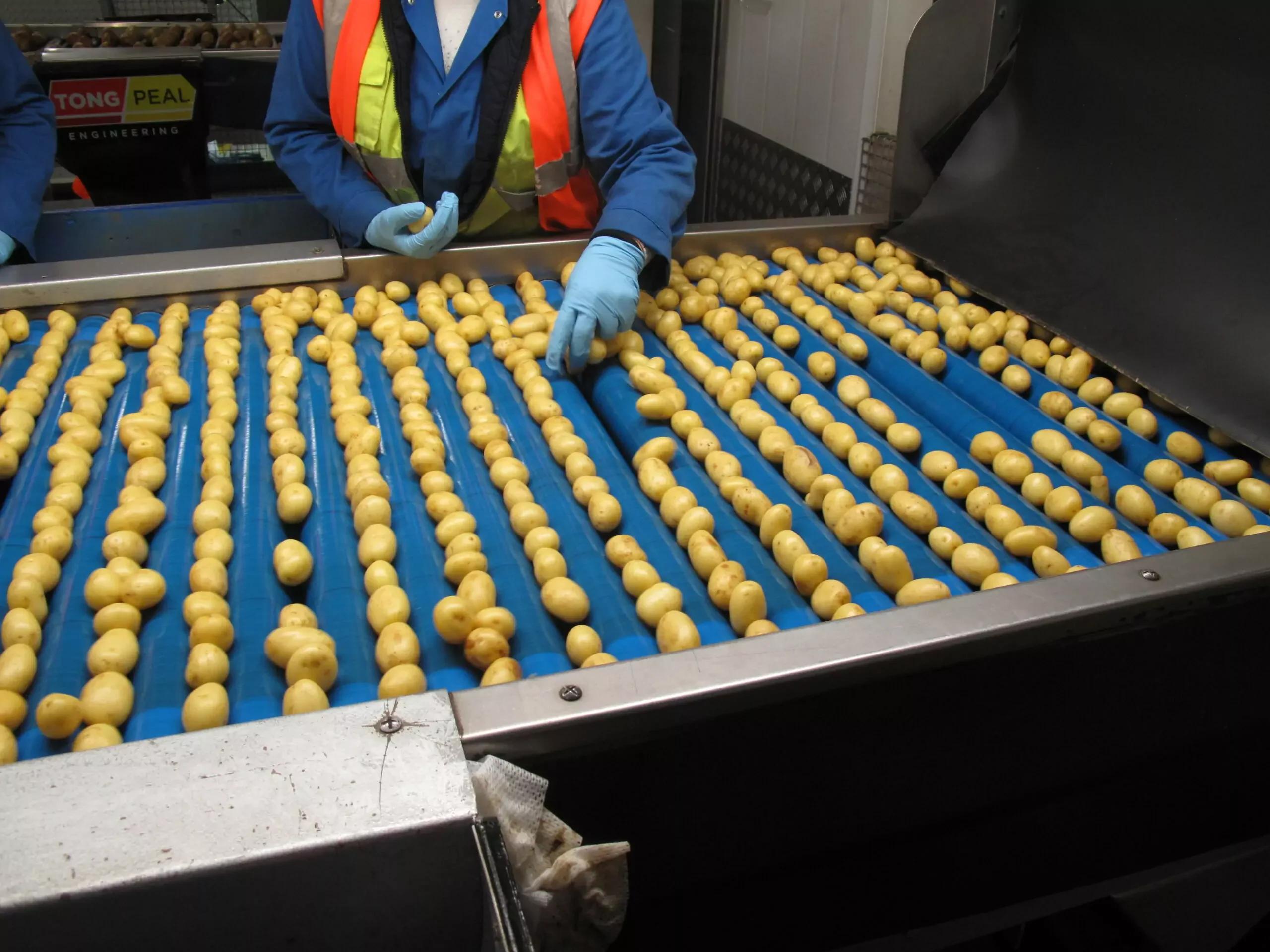 Roller Inspection Tables