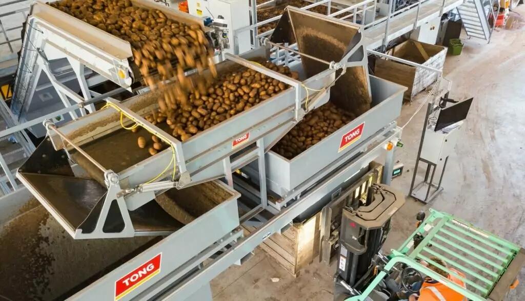 MonstaFill Bin Filling