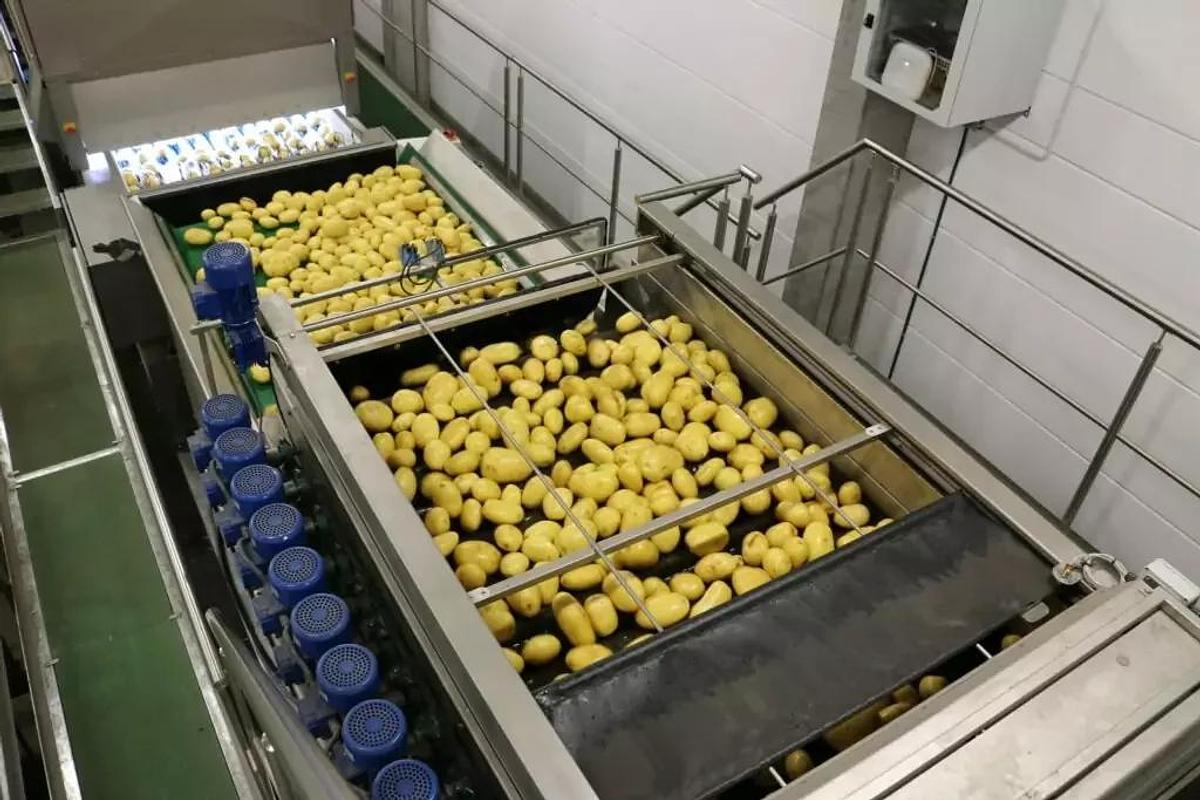 Vegetable Dryers