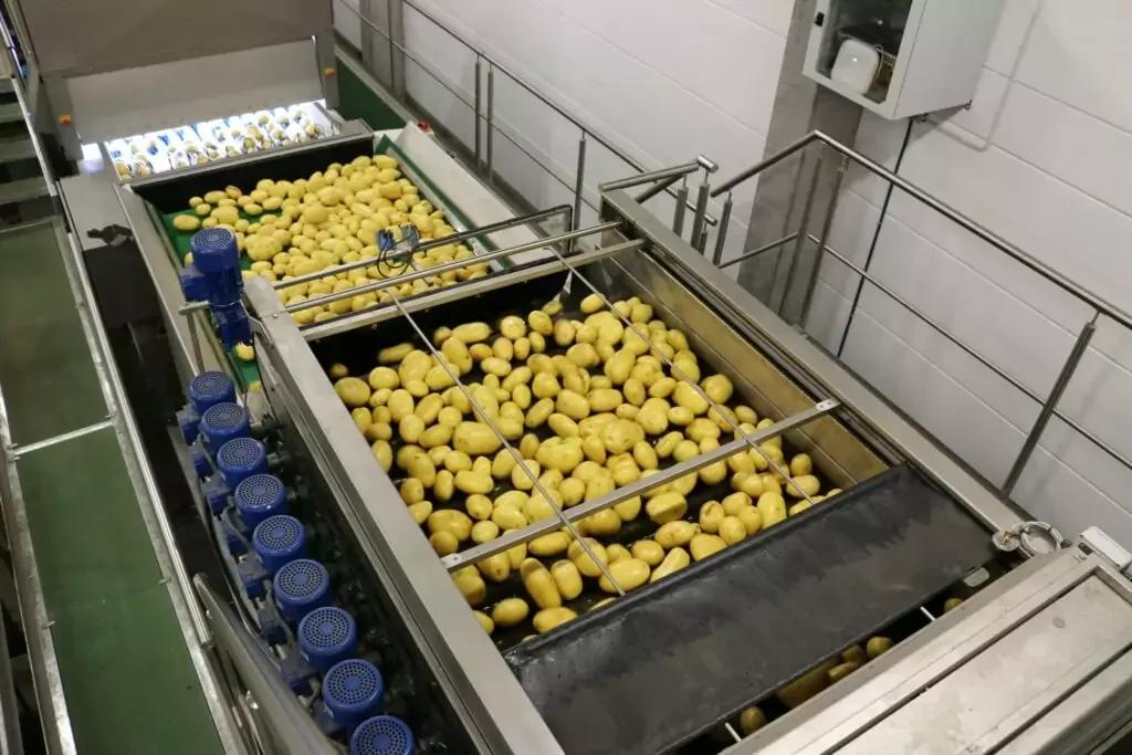 Vegetable Dryers