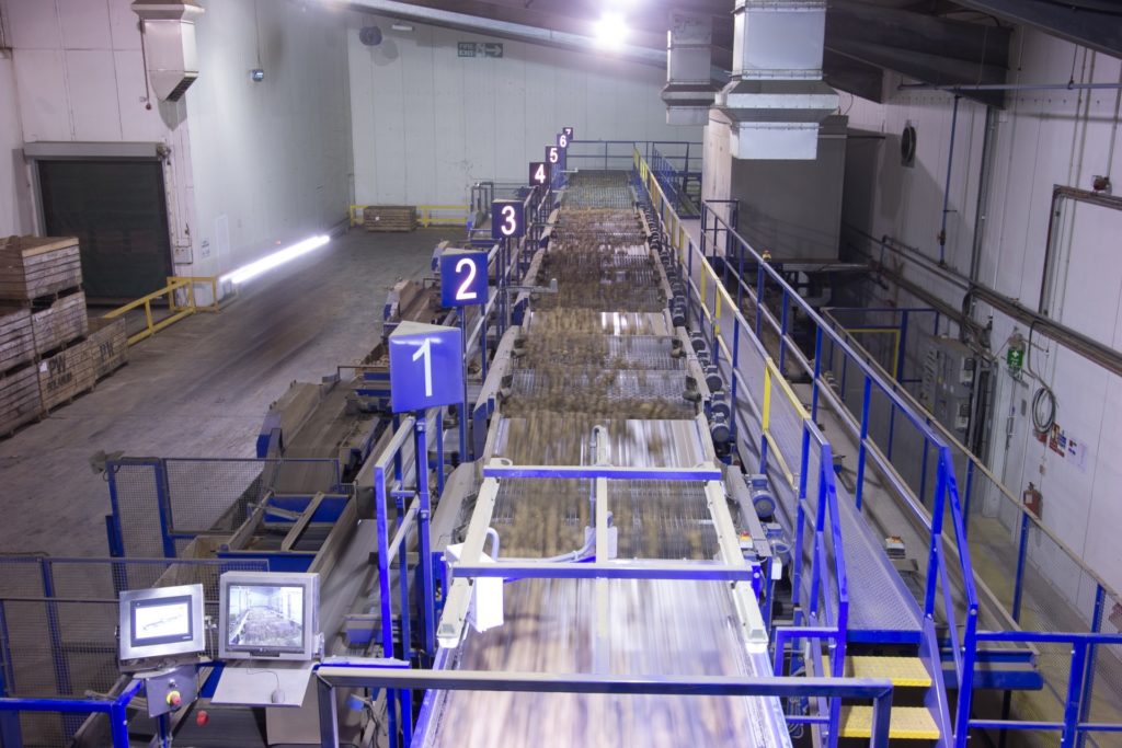 Vegetable Sizing Equipment