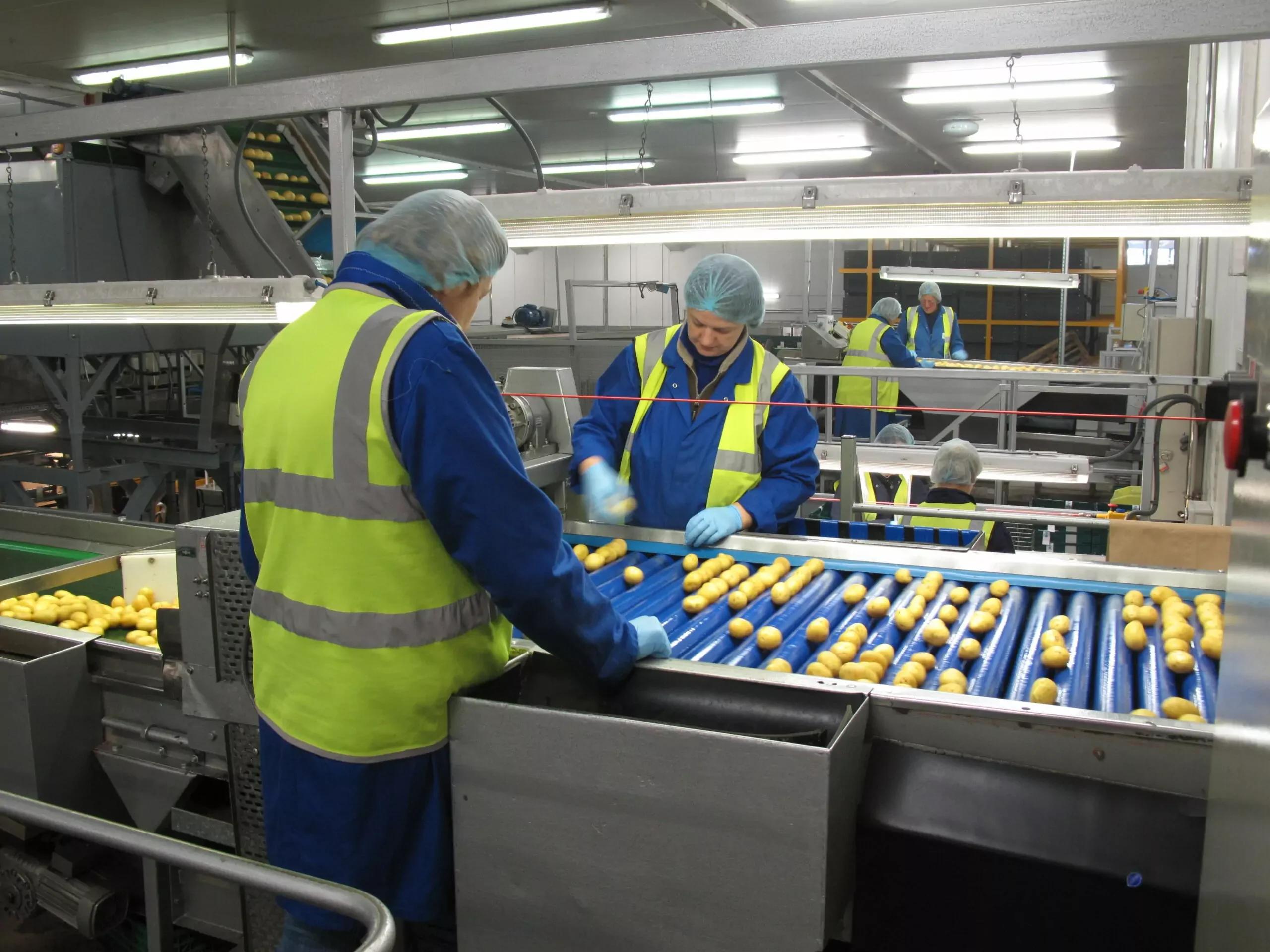 Roller Inspection Tables