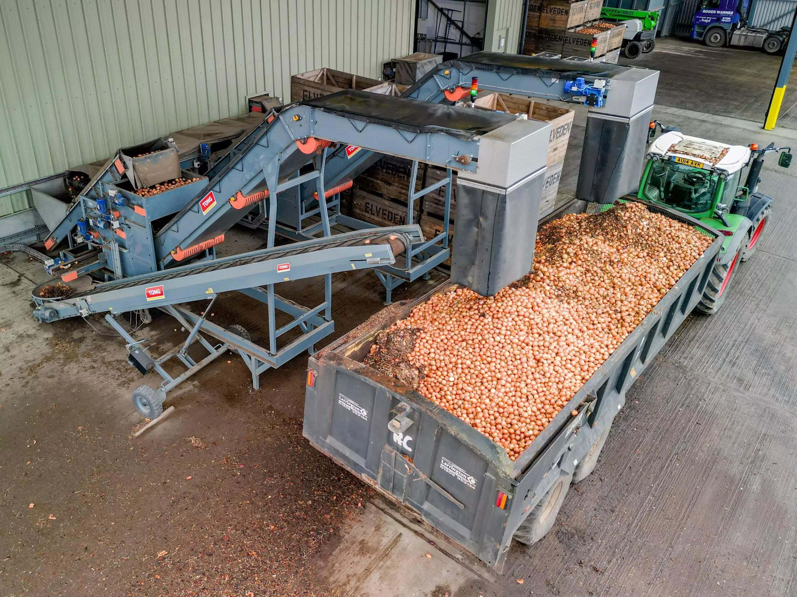 Packing Conveyors