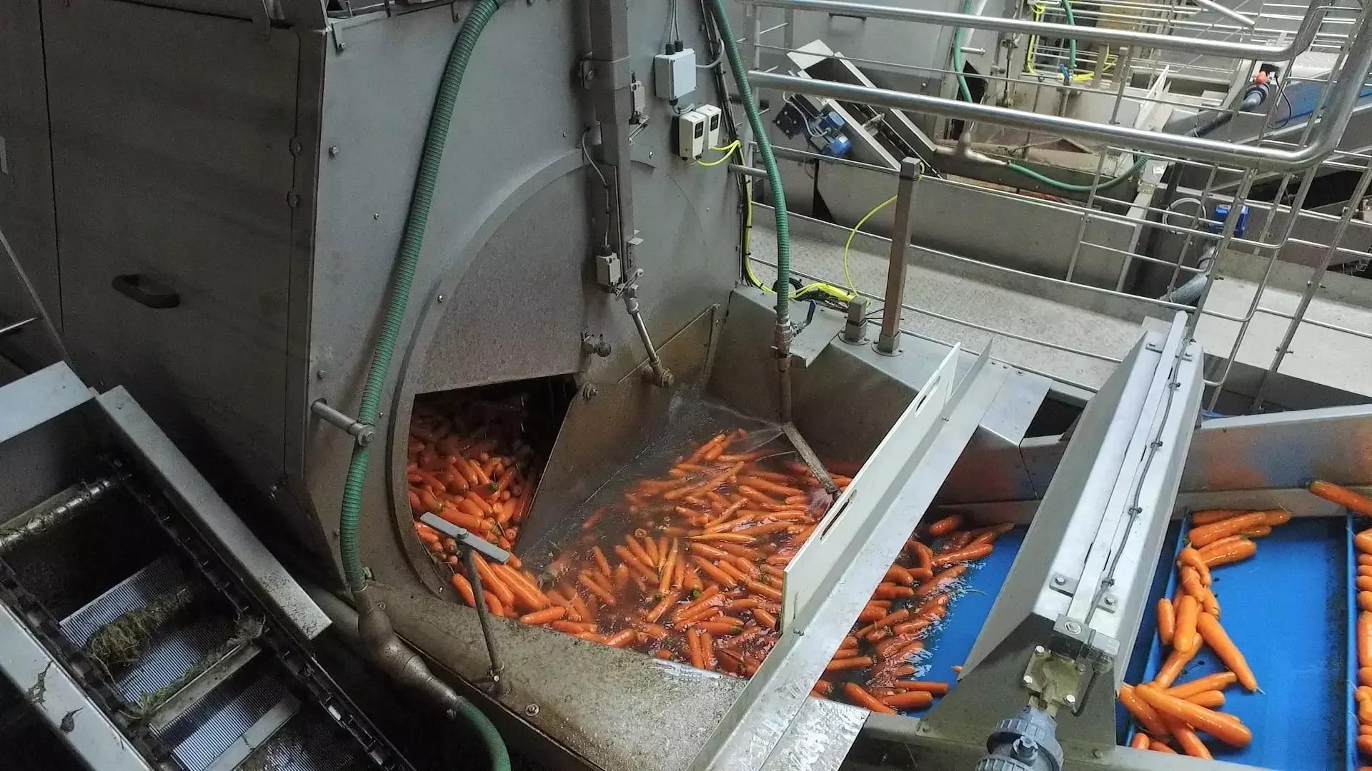 Vegetable Barrel Washers