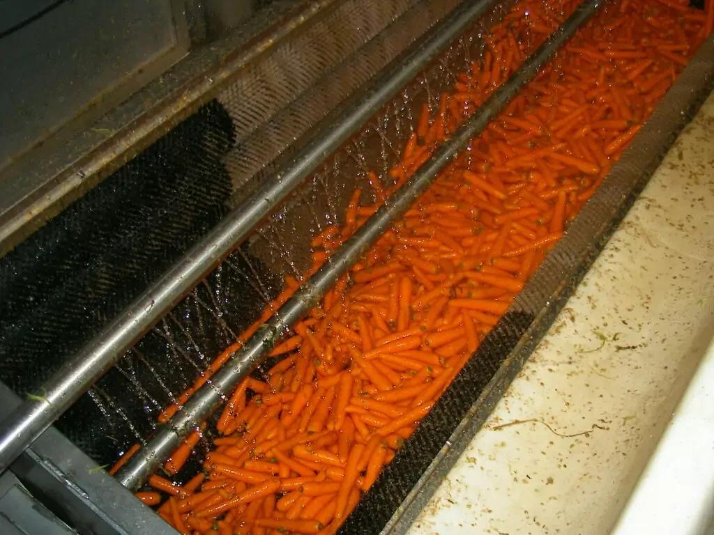 Martin Maq Vegetable Polisher
