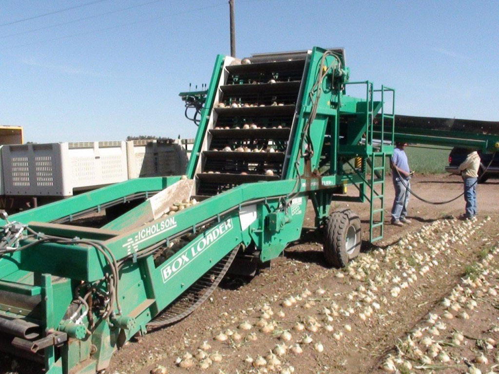 Box Loading Harvester