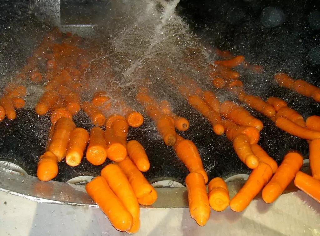 U-Brush Vegetable Polisher