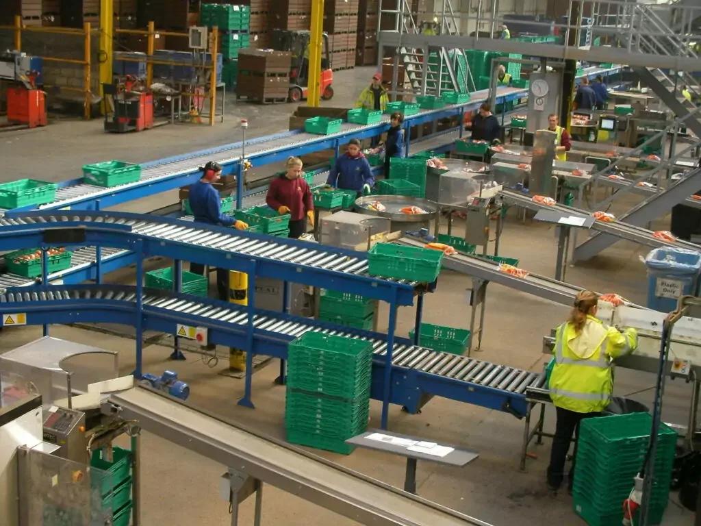 Packing Conveyors